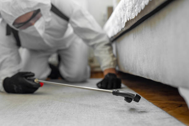 Professional Bed Bug Control technician working in Mulino, OR