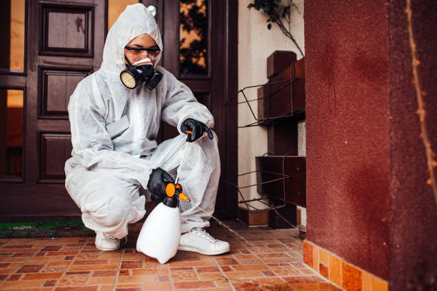 Reliable Bed Bug Control contractor in Mulino, OR by Nex Pest Control